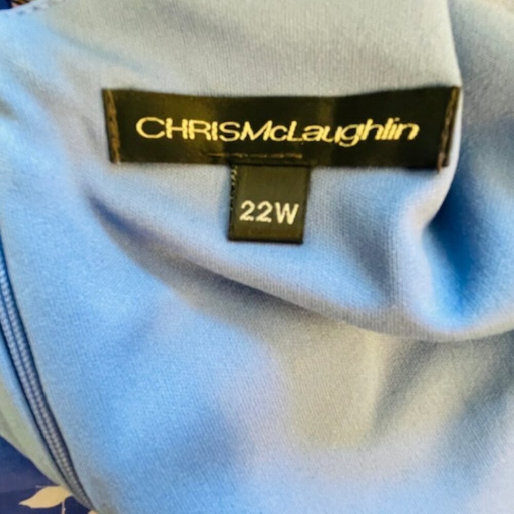 Chris Mclaughlin Plus Size A-Line Blue & White Fl… - image 7